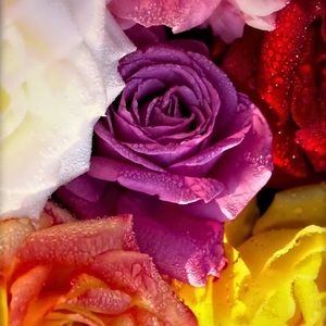 Meet your Posher, Kara